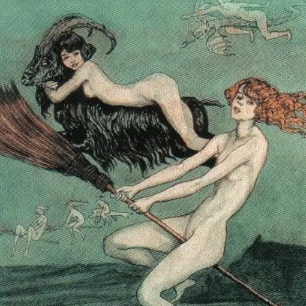 Meet your Posher, Maggie